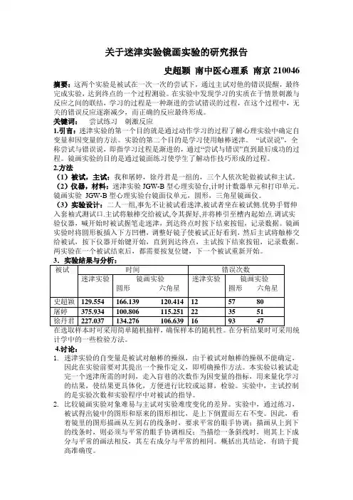 关于迷津实验镜画实验的研究报告