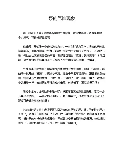 泵的气蚀现象
