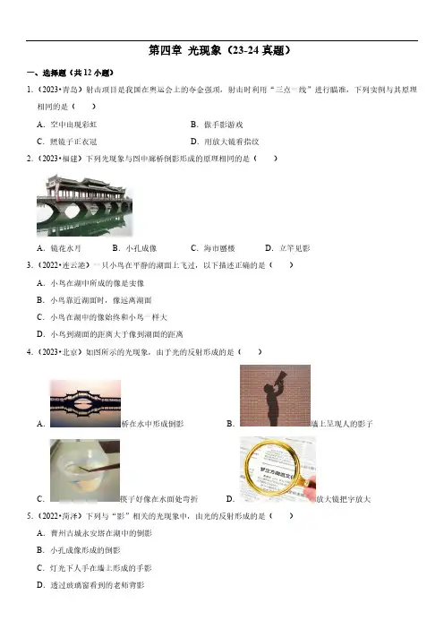 专项 光现象 易错真题汇编中考物理复习