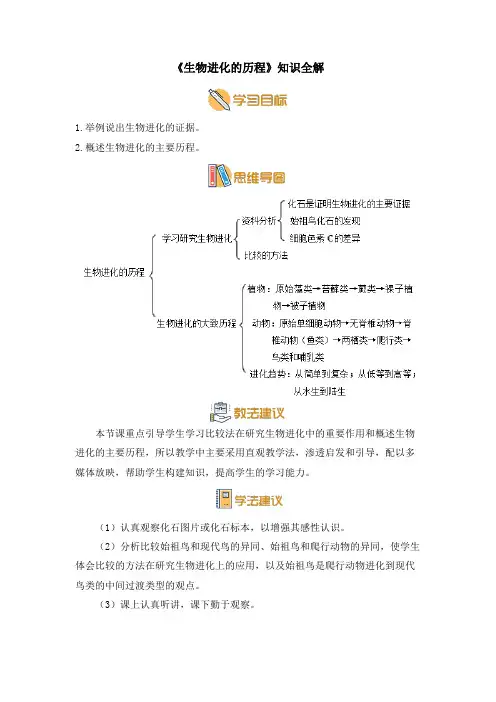 苏教版八年级生物上册《生物进化的历程》知识全解