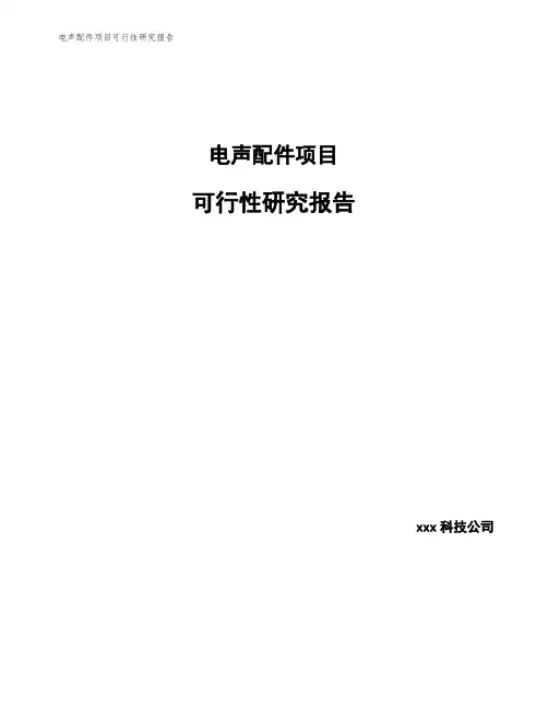 电声配件项目可行性研究报告