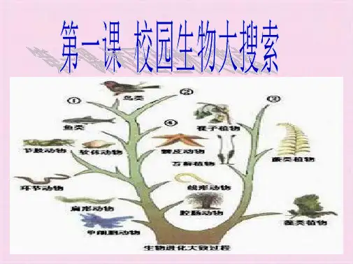 教科小学科学六上《4.1、校园生物大搜索》课件(9)ppt(共6张PPT)