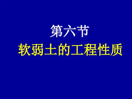 第六节软土的工程性质