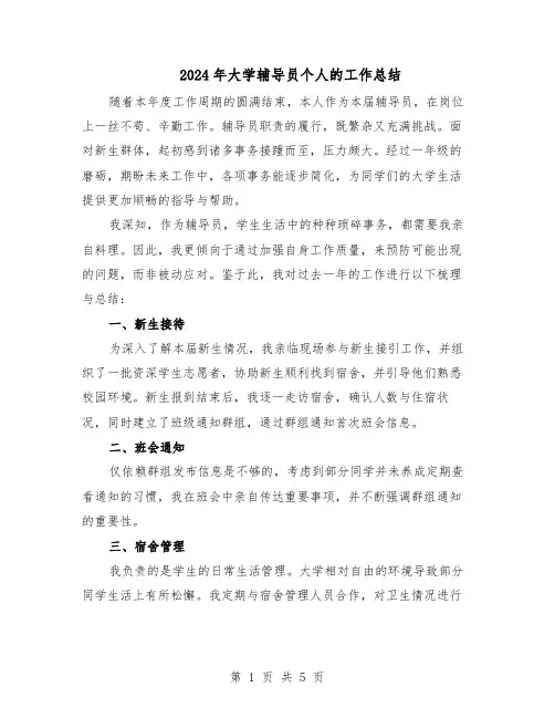2024年大学辅导员个人的工作总结（3篇）
