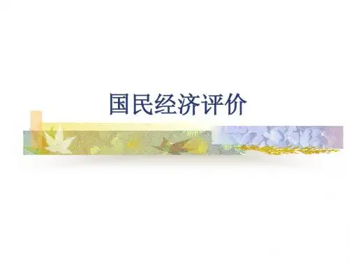 国民经济评价