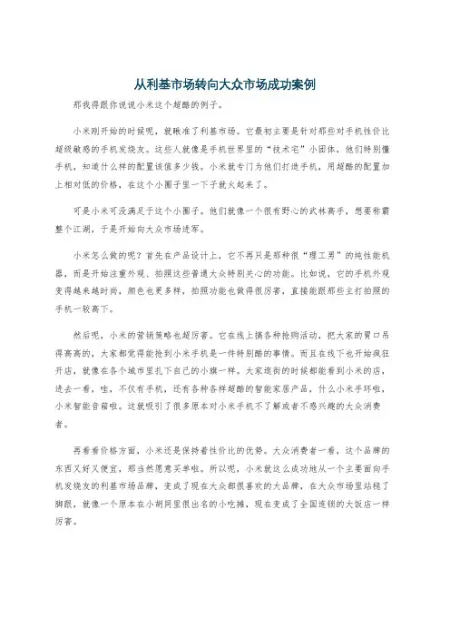 从利基市场转向大众市场成功案例