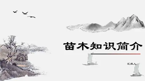 常见苗木赏析(苗木知识)