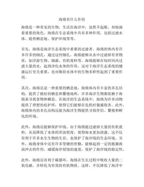 海绵有什么作用