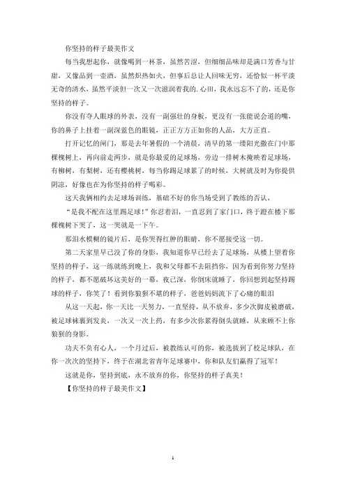 你坚持的样子最美作文(精选)