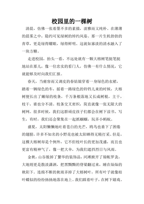 校园里的一棵树