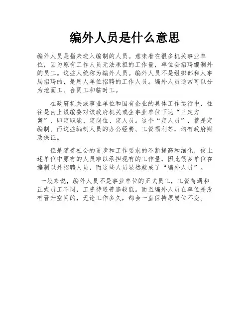 编外人员是什么意思