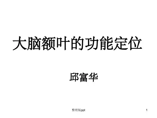 大脑额叶的功能定位