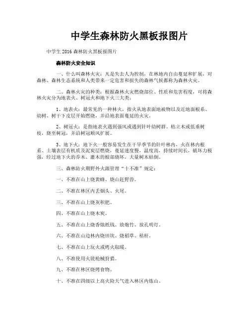 中学生森林防火黑板报图片
