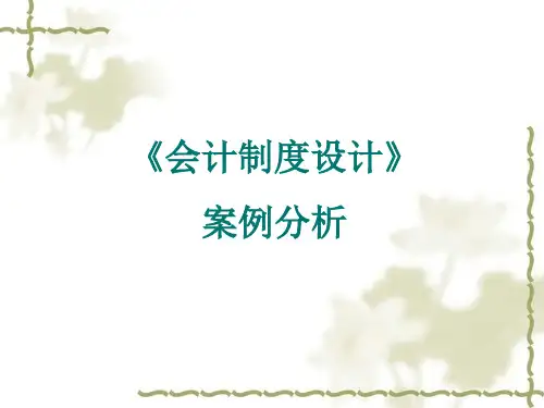 会计制度设计案例分析PPT31页