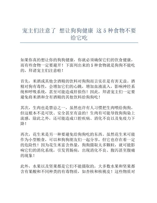 宠主们注意了 想让狗狗健康 这5种食物不要给它吃