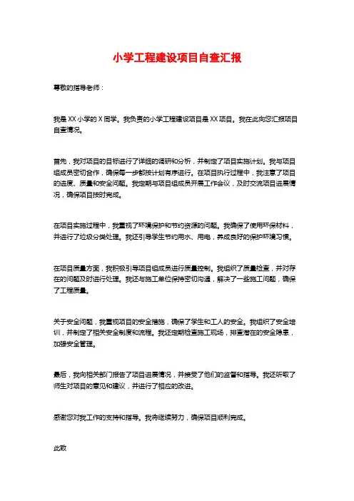 小学工程建设项目自查汇报