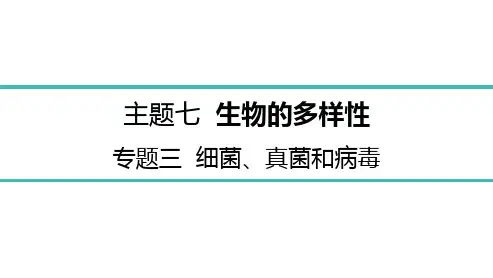 2022年中考生物总复习主题七生物的多样性 专题三细菌、真菌和病毒