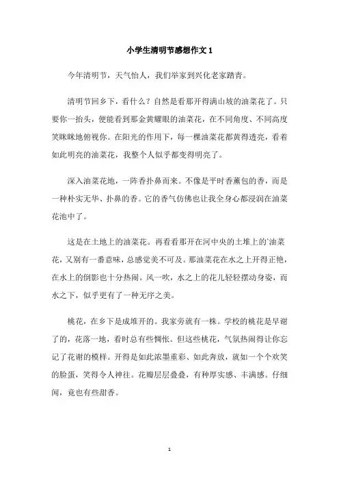小学生清明节感想作文( 6篇 ) 
