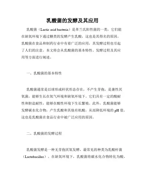 乳酸菌的发酵及其应用