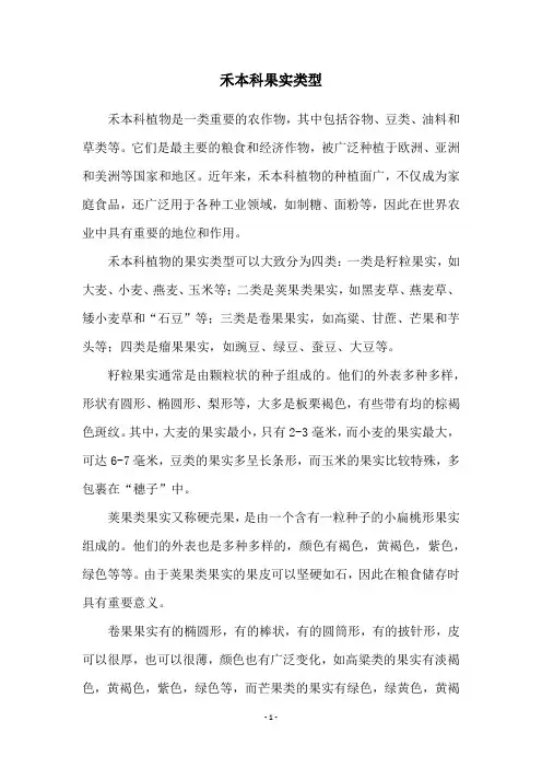 禾本科果实类型