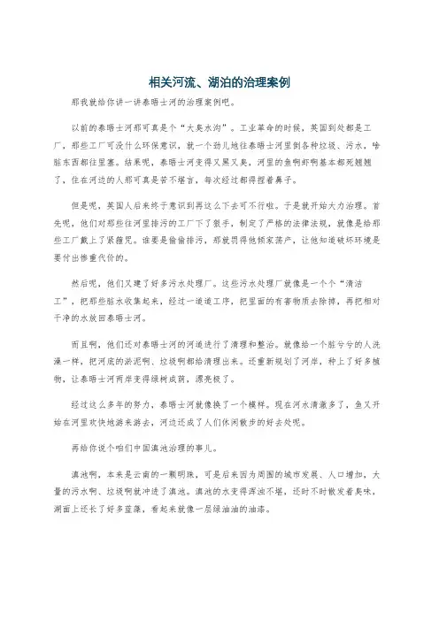 相关河流、湖泊的治理案例