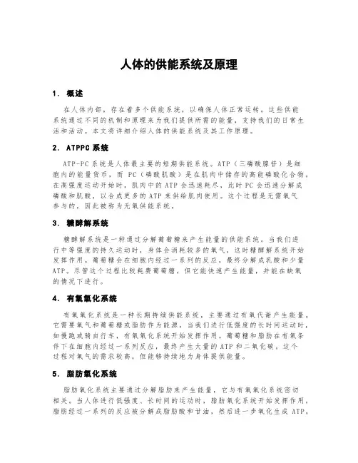 人体的供能系统及原理