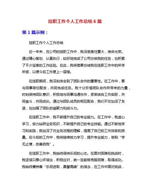 挂职工作个人工作总结6篇