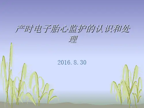 产时电子胎心监护PPT幻灯片课件