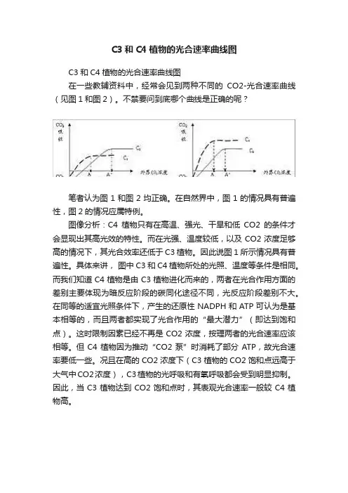 C3和C4植物的光合速率曲线图