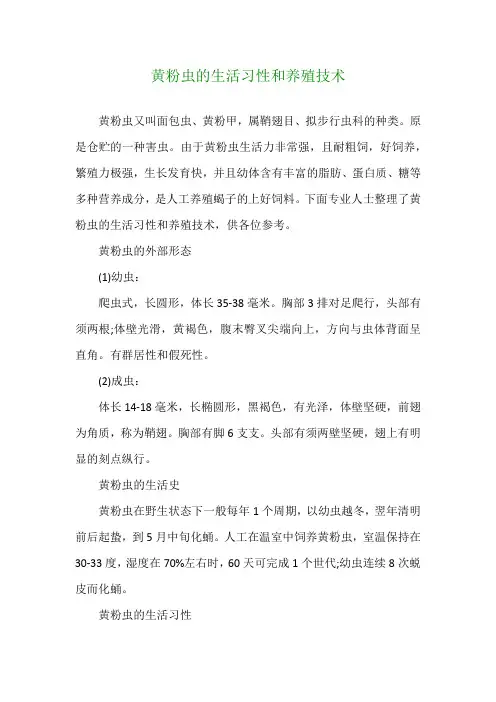 黄粉虫的生活习性和养殖技术