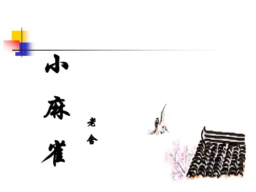 小麻雀PPT课件