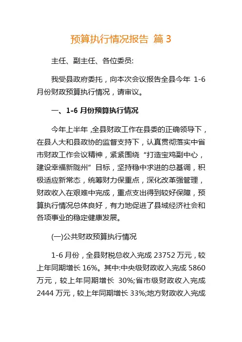 预算执行情况报告 篇3