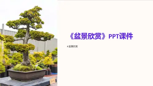 《盆景欣赏》课件