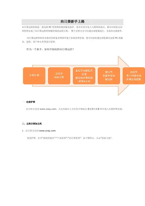 向日葵远程控制电脑新手上路