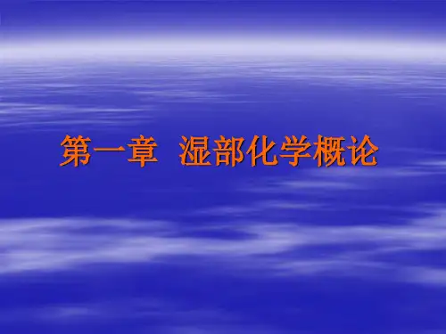 造纸湿部化学概论