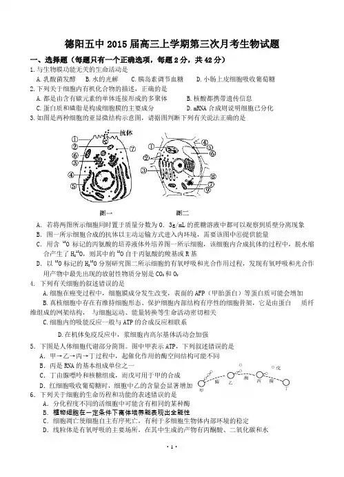 四川省德阳五中2015届高三上学期第三次月考生物试题及答案