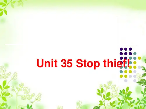新概念4B Unit35 Stop thief!