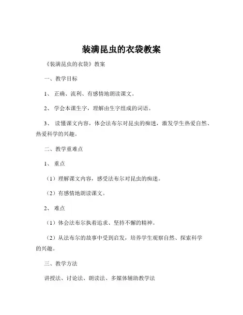 装满昆虫的衣袋教案