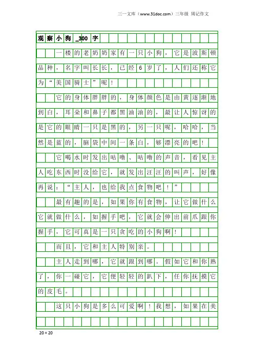 三年级周记作文:观察小狗_300字