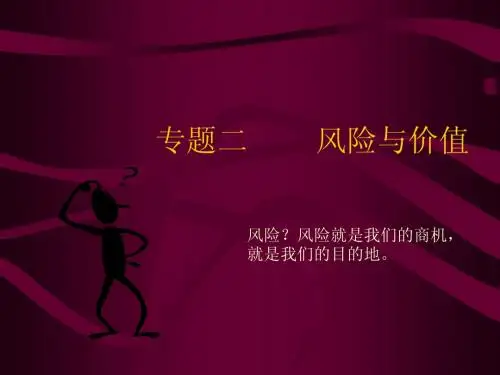 专题2 风险与价值