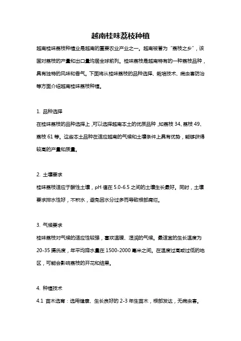 越南桂味荔枝种植