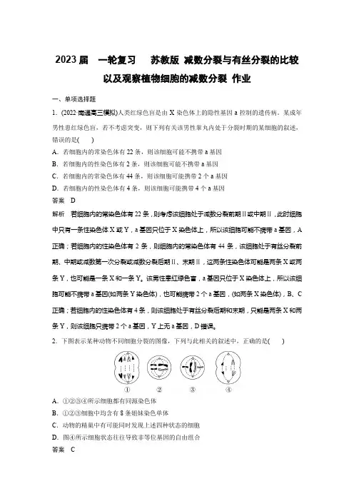 一轮复习   苏教版 减数分裂与有丝分裂的比较以及观察植物细胞的减数分裂 作业