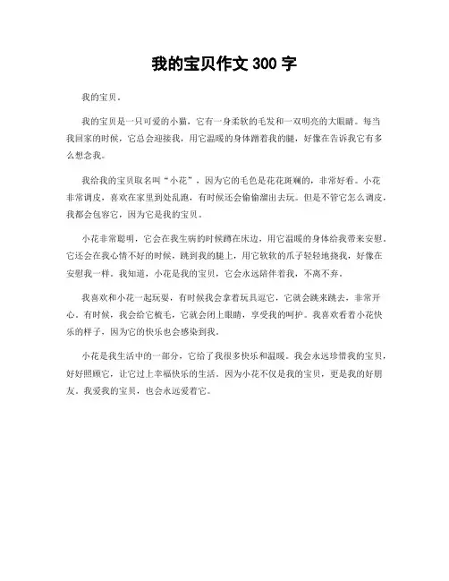 我的宝贝作文300字