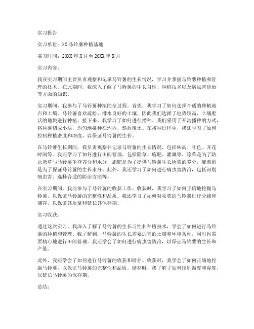 马铃薯种植基地实习报告