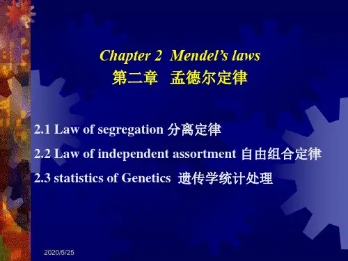 遗传学第2章孟德尔定律