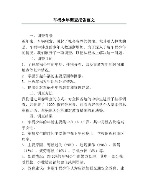 车祸少年调查报告范文