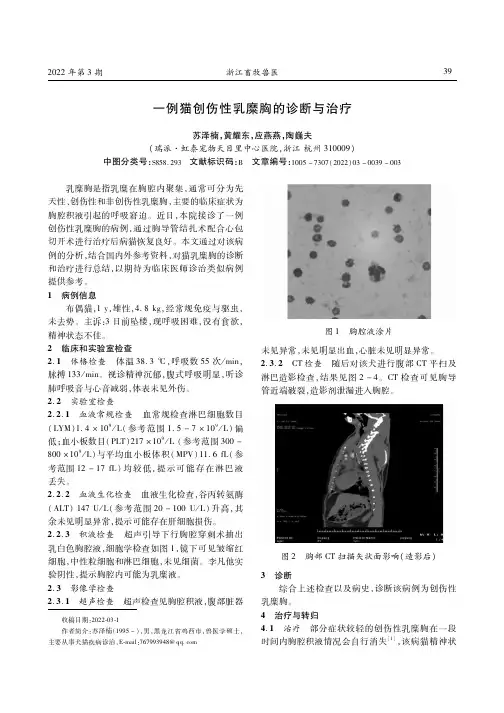一例猫创伤性乳糜胸的诊断与治疗