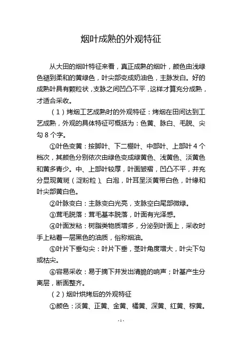 烟叶成熟的外观特征