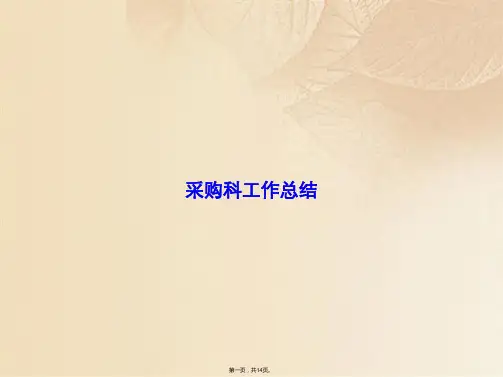 采购科工作总结(共14张PPT)
