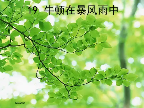 三年级语文上册《牛顿在暴风雨中》课件3 沪教沪教件